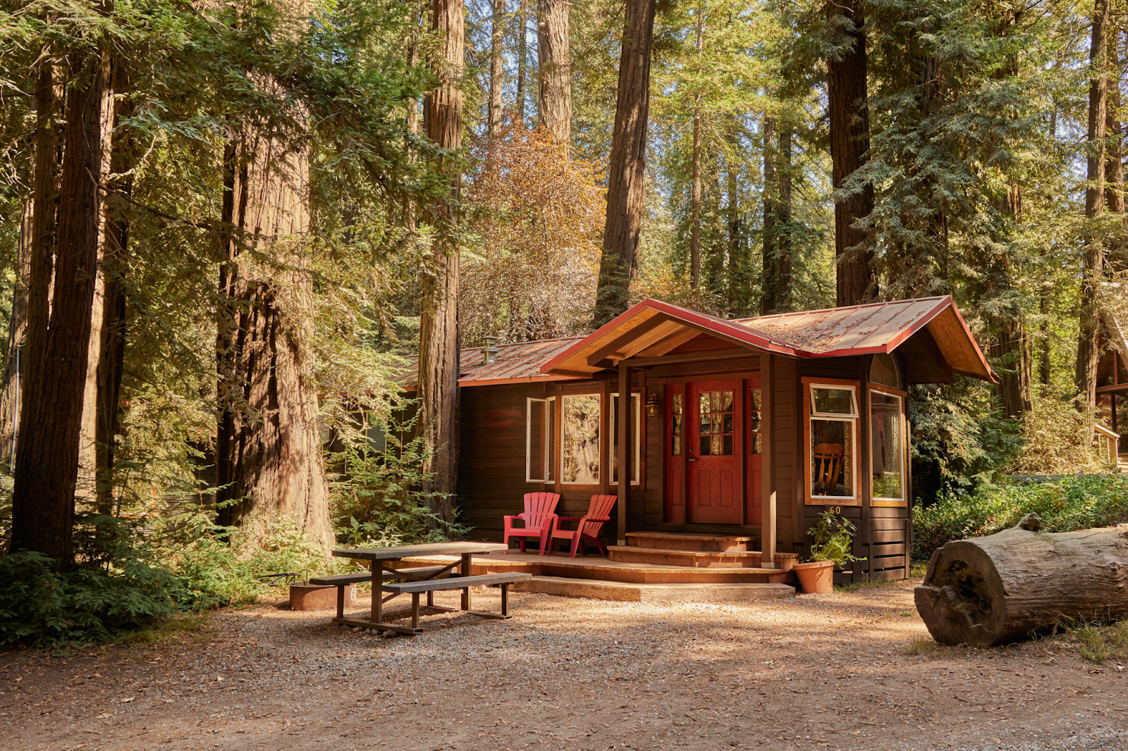 How to Find the Perfect Cabin Reservation for Your Next Vacation